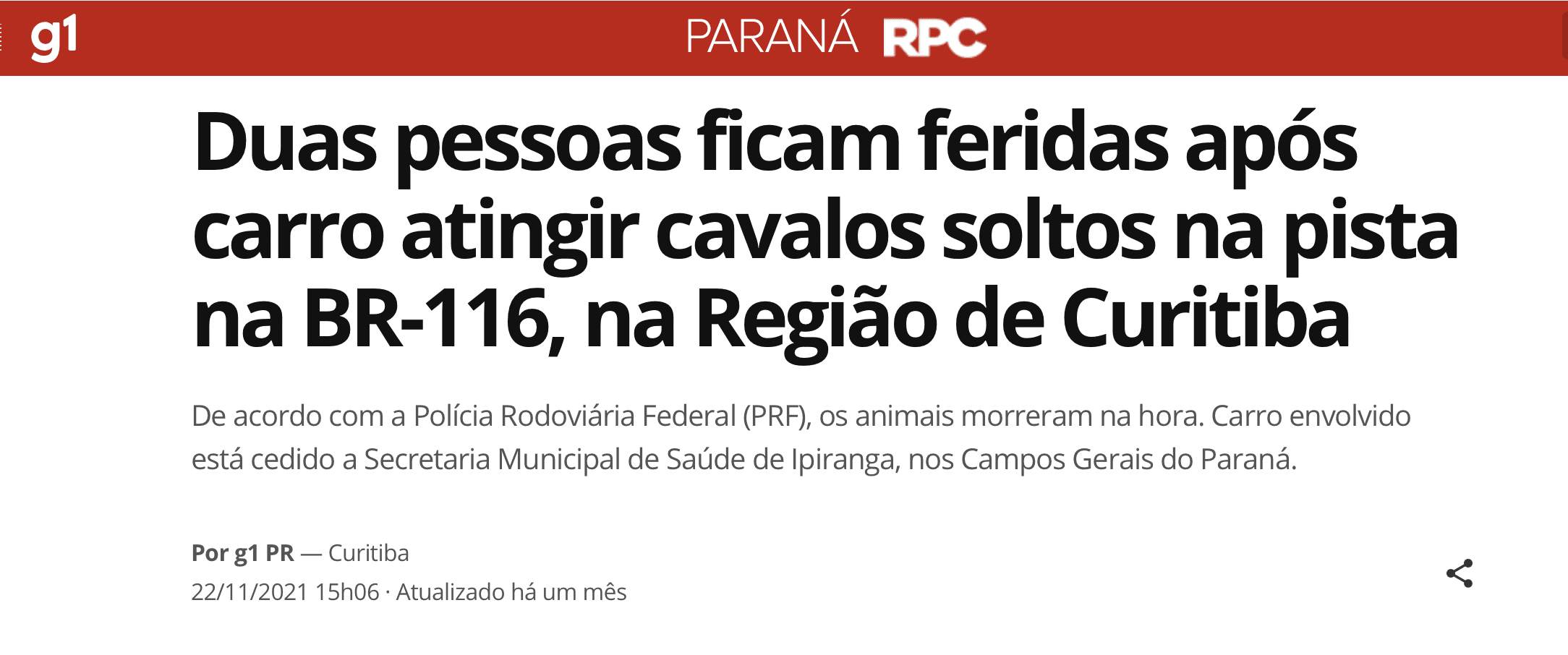 acidentes com animais em rodovias pedagiadas são comuns